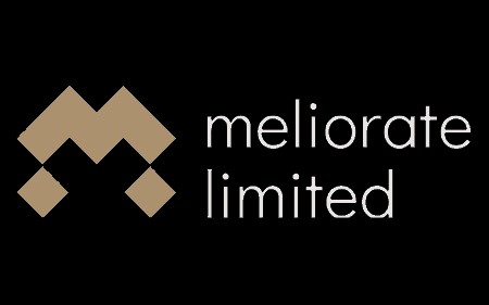 Experten von Meliorate Limited: wie man kein Geld auf Forex verliert